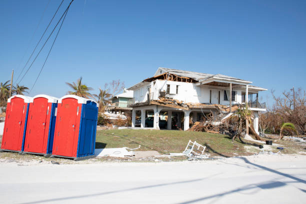 How Our Tree Care Process Works  in  Kingman, KS